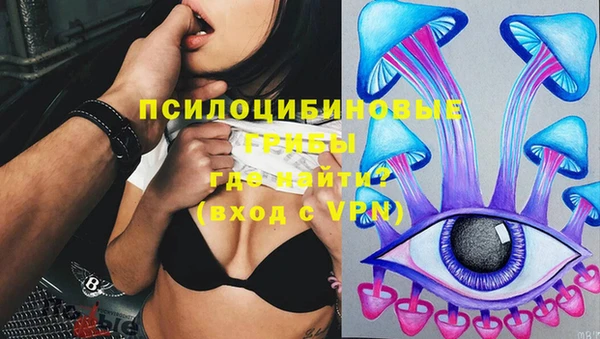 ПСИЛОЦИБИНОВЫЕ ГРИБЫ Пересвет